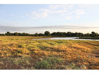 Tract 7 - LAND AUCTION - 440+/- Acres offered in 15 Tracts in Tulsa County